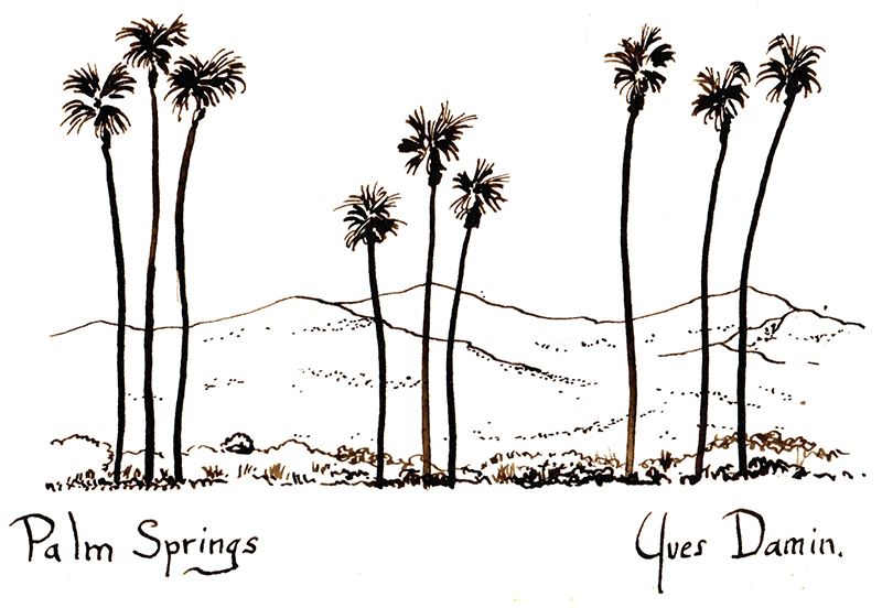 dessin de palmiers à Palm Springs California