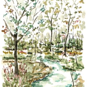 Paris, Bois de Vincennes